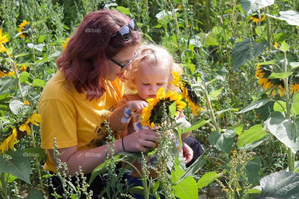 Nature, Child, Flower, Summer, Outdoors