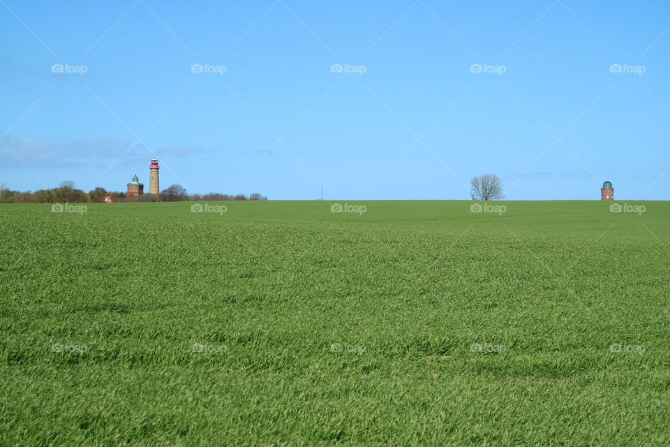 Fresh green field at Cape Arkona on the island of Rügen