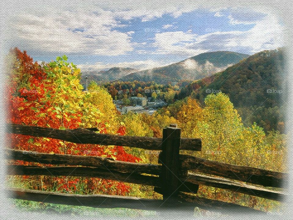 Nature's Fireworks, autumn colors. 