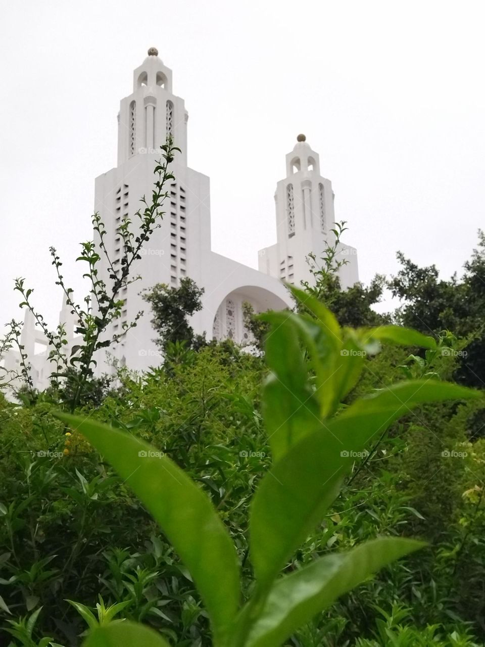 cathedral behind the garden