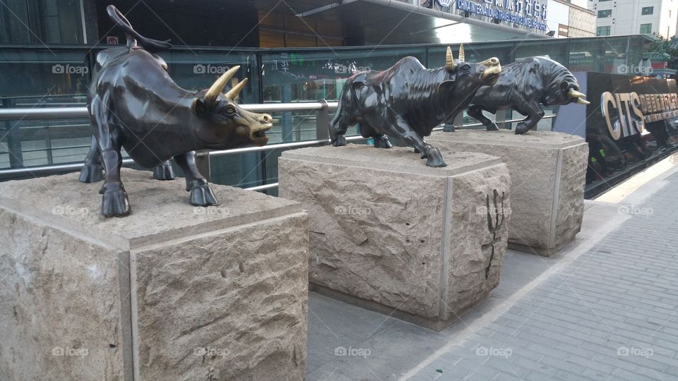 Beijing Bull Statues
