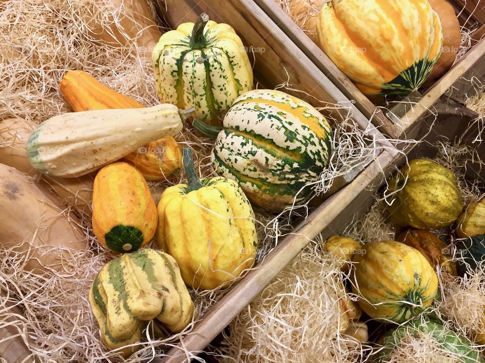 Wooden boxes with small pumpkins