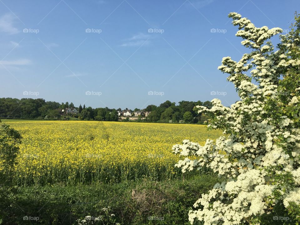 English countryside 