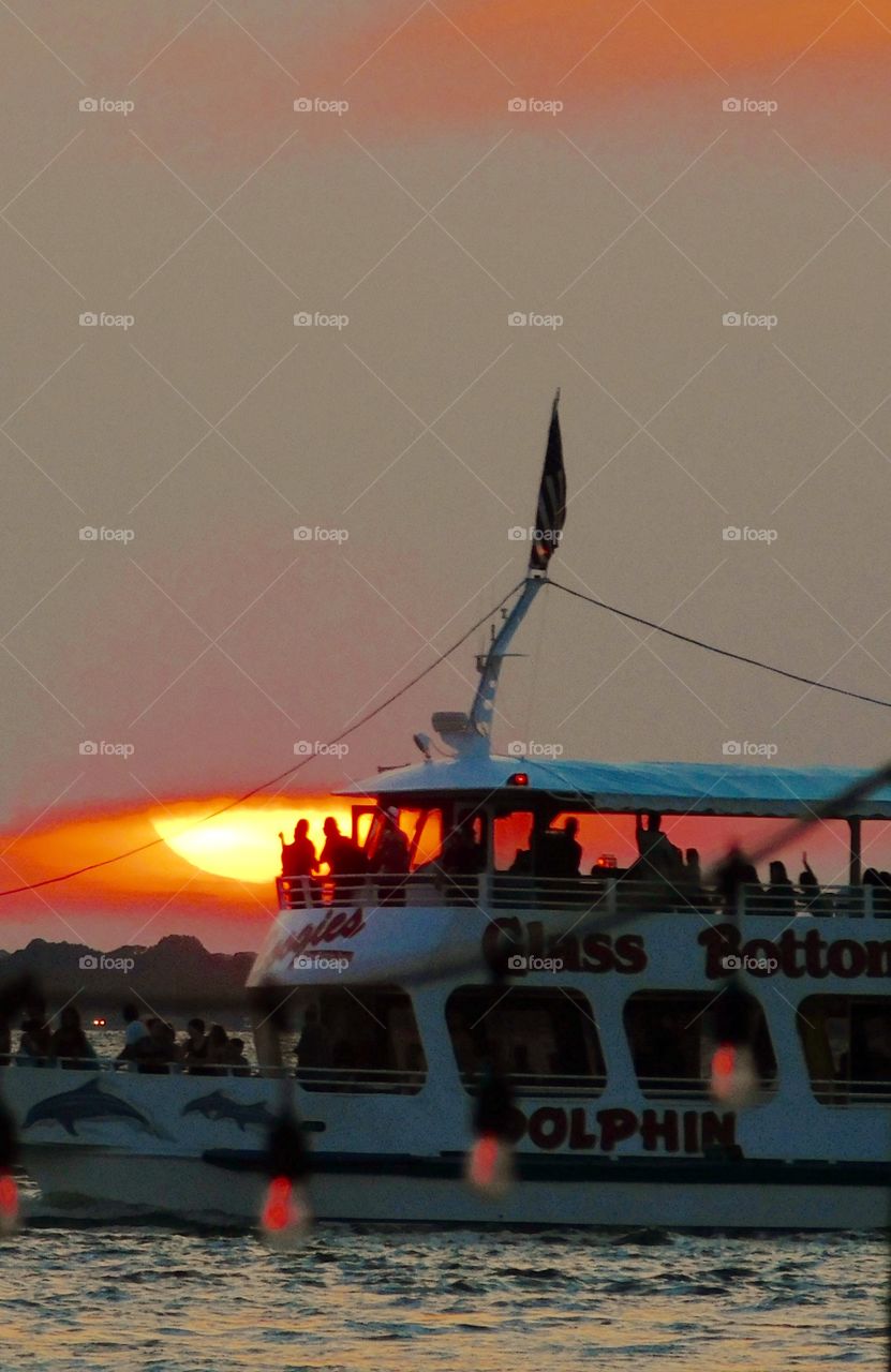 Dolphins watching boat with passengers in the path of a spectacular sunset! The sky was filled with the most brilliant orange complimented perfectly with hues of gold, yellow, red and crimson. An orange haze had casted over the water, reflecting off every wave.  Finally,the sun disappears along with the shine. I can only wait to see another magical moment of beauty and warmth! I can only wait for another sunset! Enjoy!