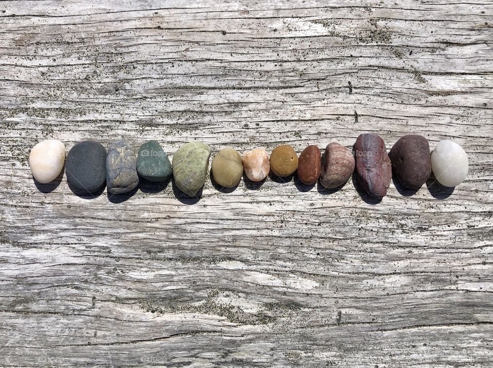 Colorful stones lined up on driftwood