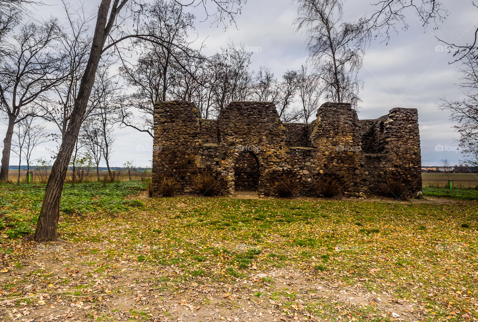 Gryżyna, Poland