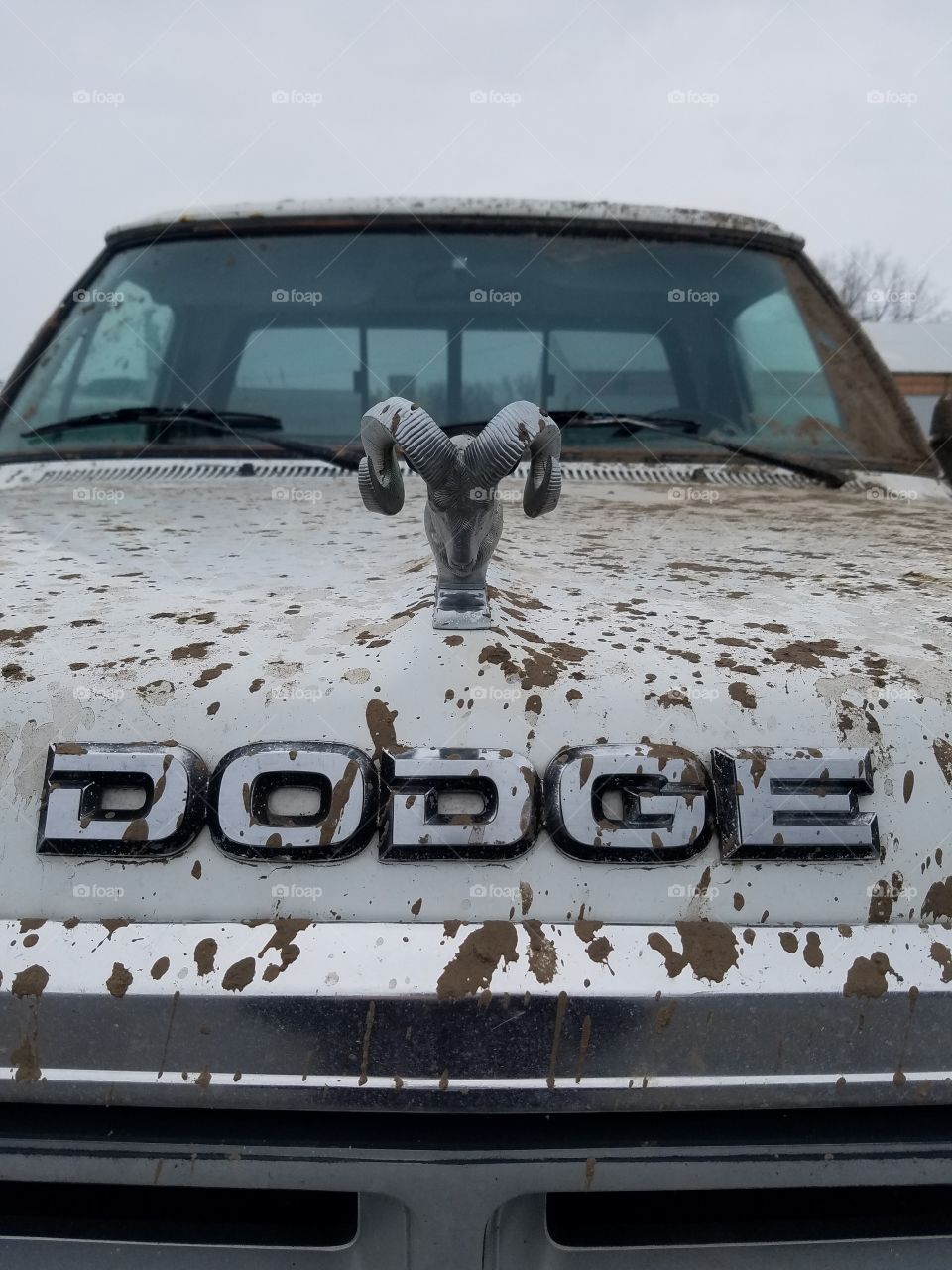 Dirty Dodge