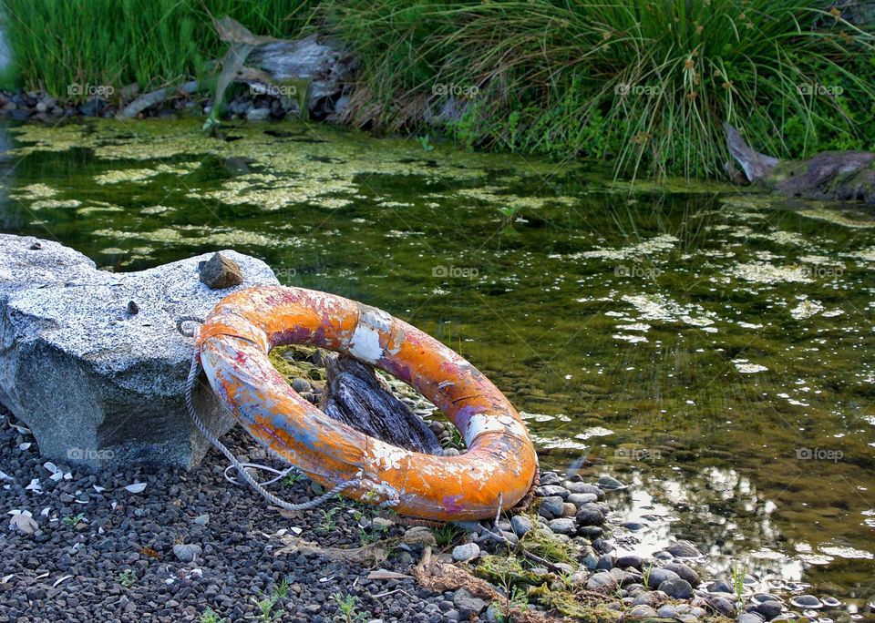 Life ring