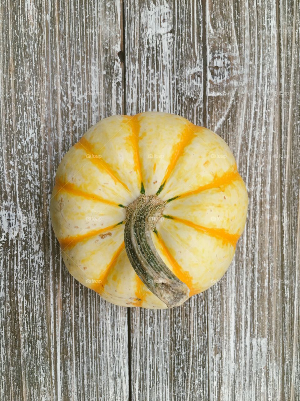 Pumpkin 