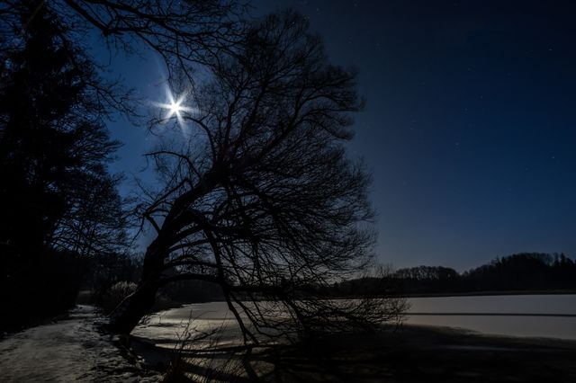 Night beauty