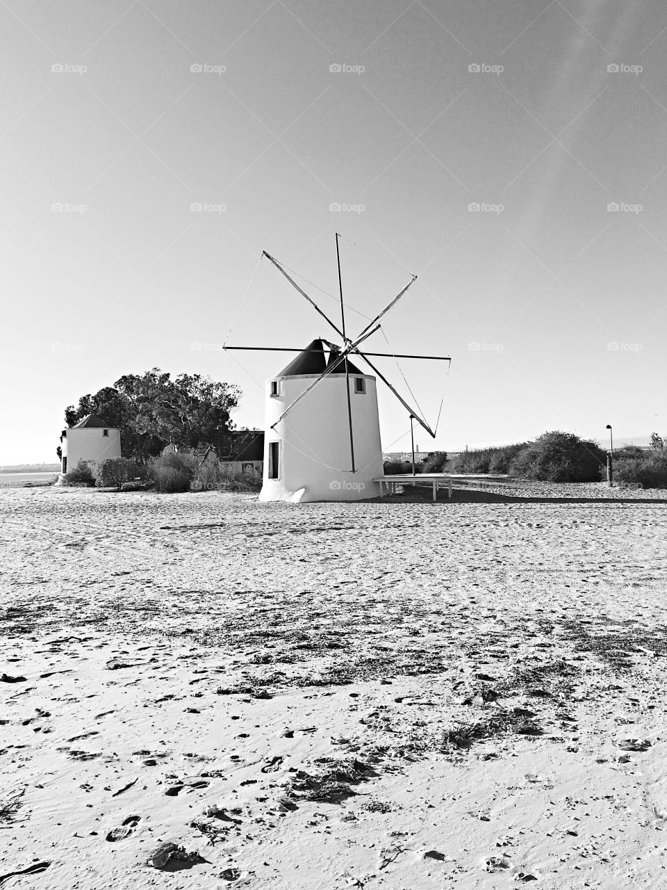 Windmill 
