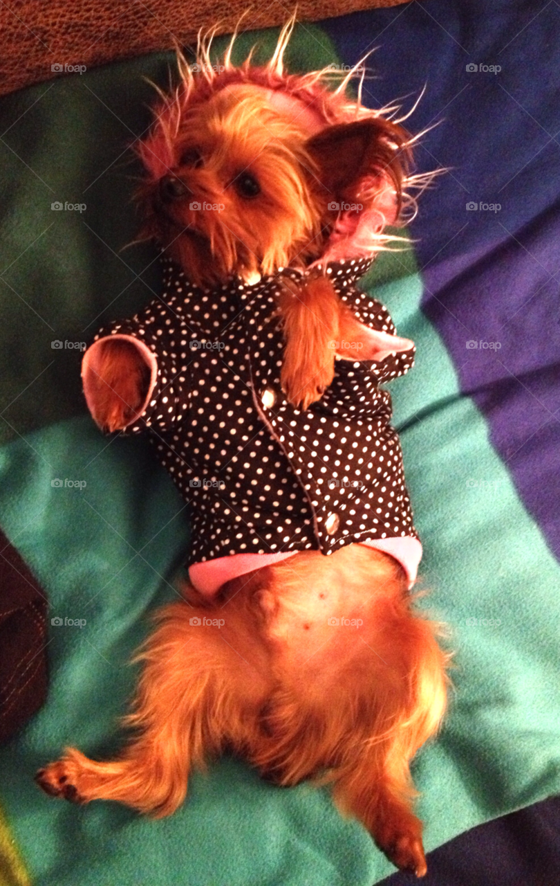 happy closeup white black by StyleDone