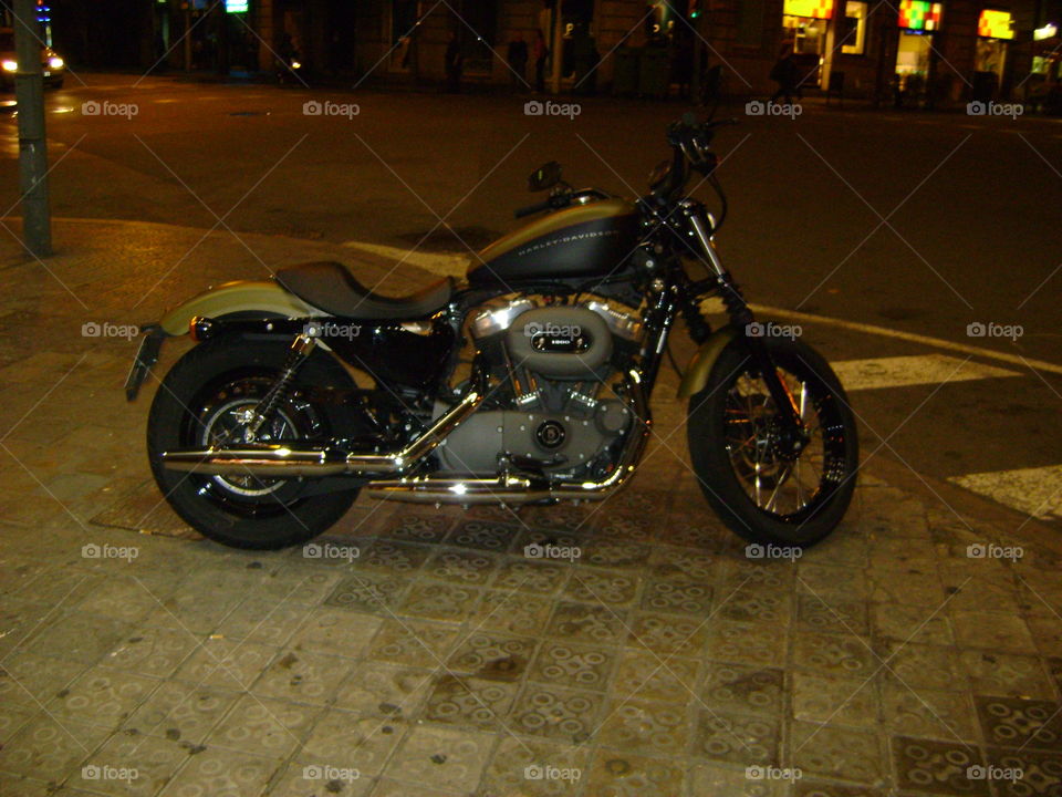 Harley in the night