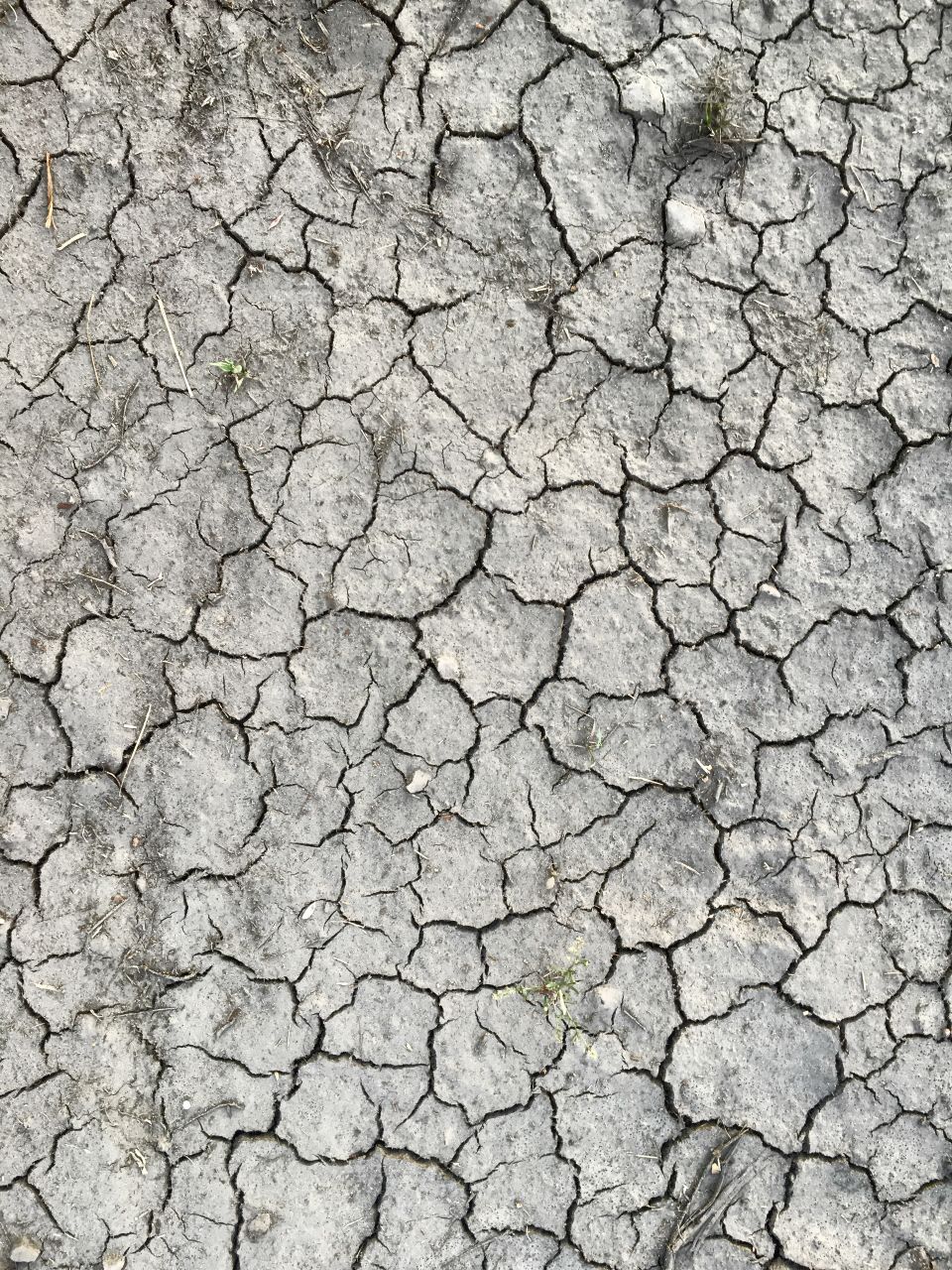 Full frame shot of cracked land