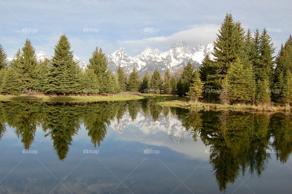 Schwabacher’s Landing