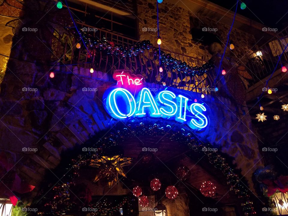 The Oasis
