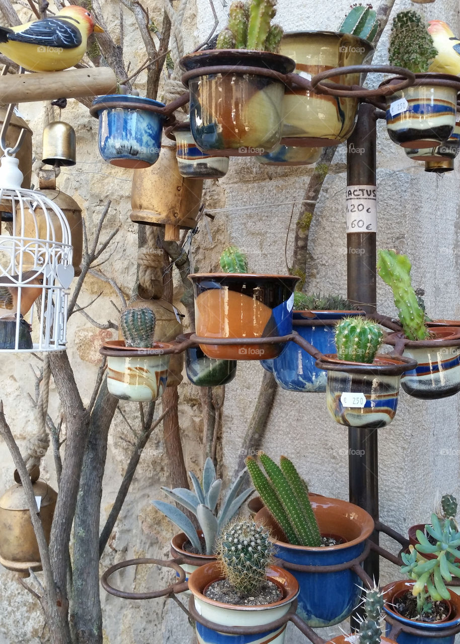 This shop sold ceramic. All these little pots with plants were for sale. I loved seeing the all together.