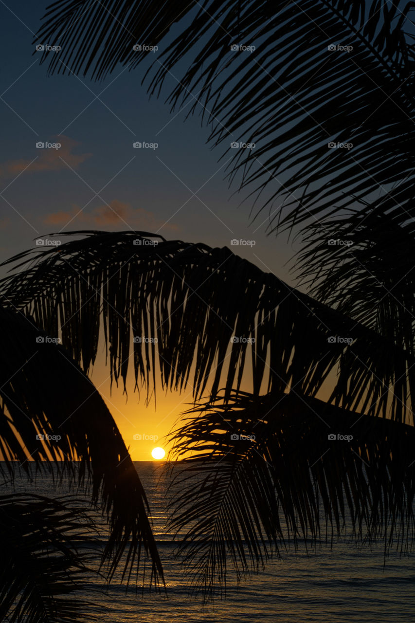 Sunset and Palms on Tumon Bay, Guam
