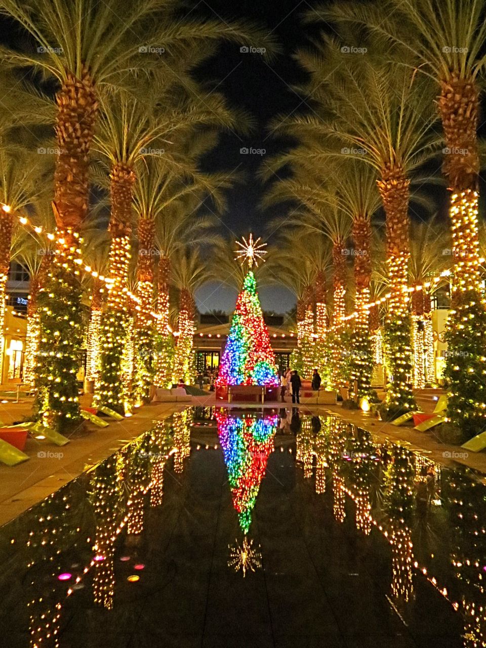 Dazzling Holiday Lights.