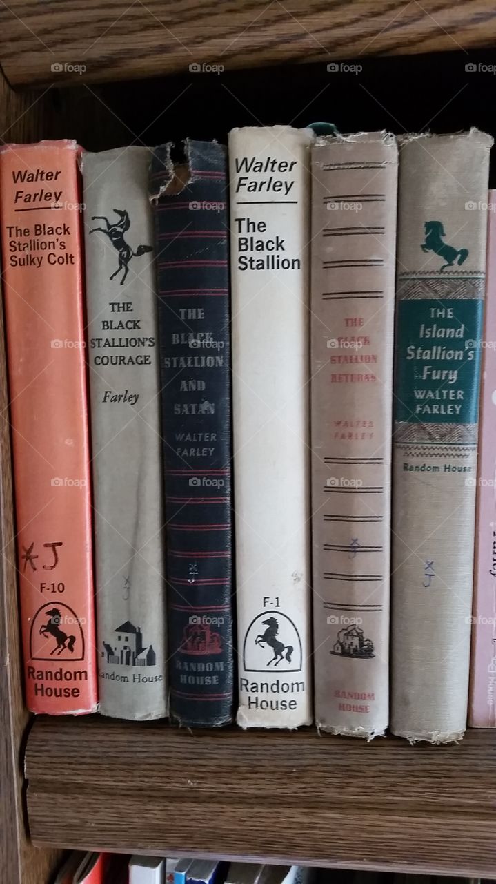 black stallion collection . love to read