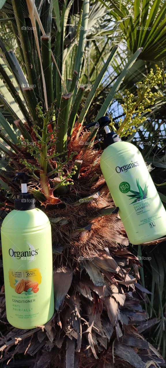 Organis Daily Care 2-in-1, Shampoo and Conditioner