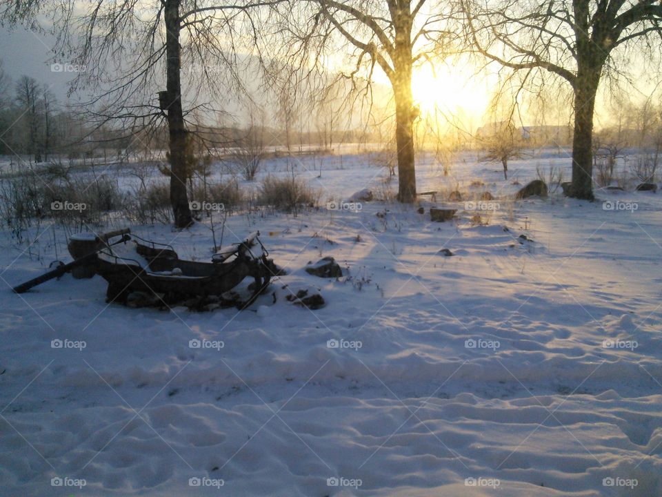 Snow and sun in the old yard