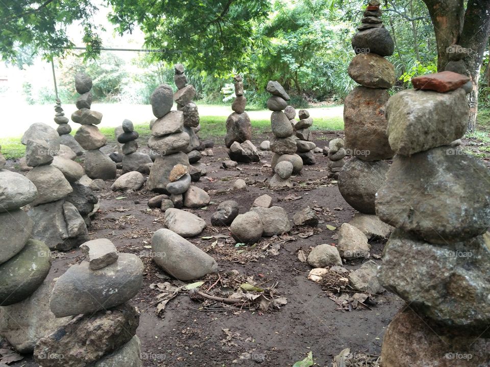 zen garden