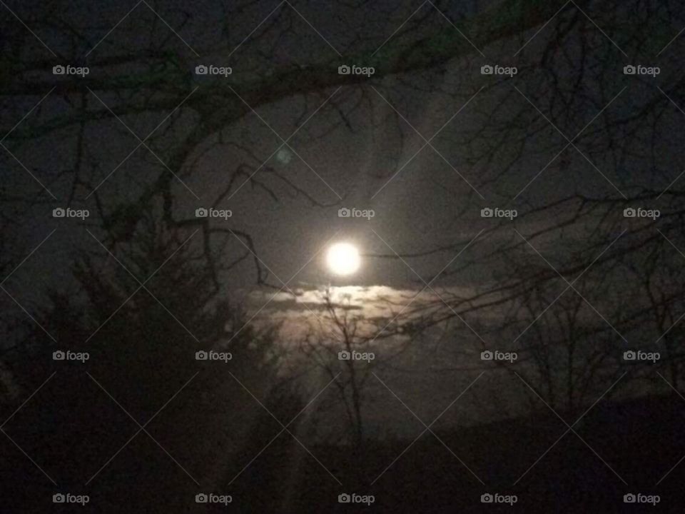 Moon light 