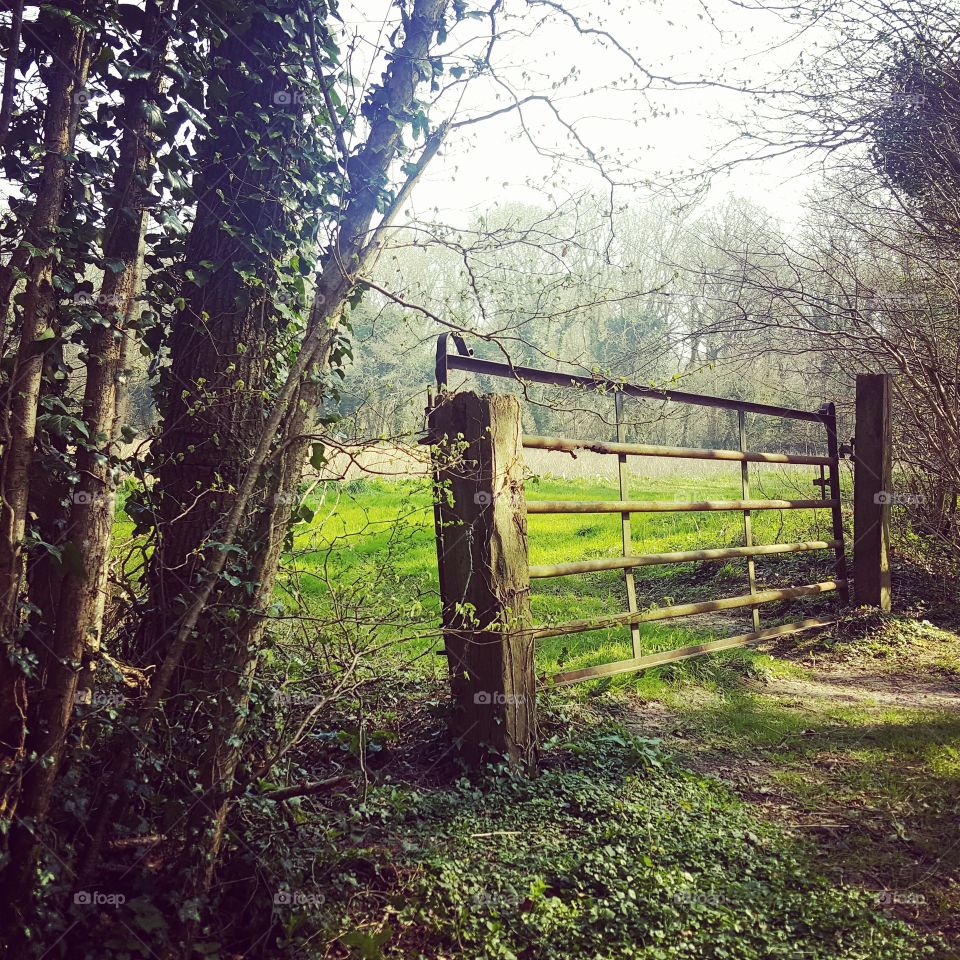 Countryside gate