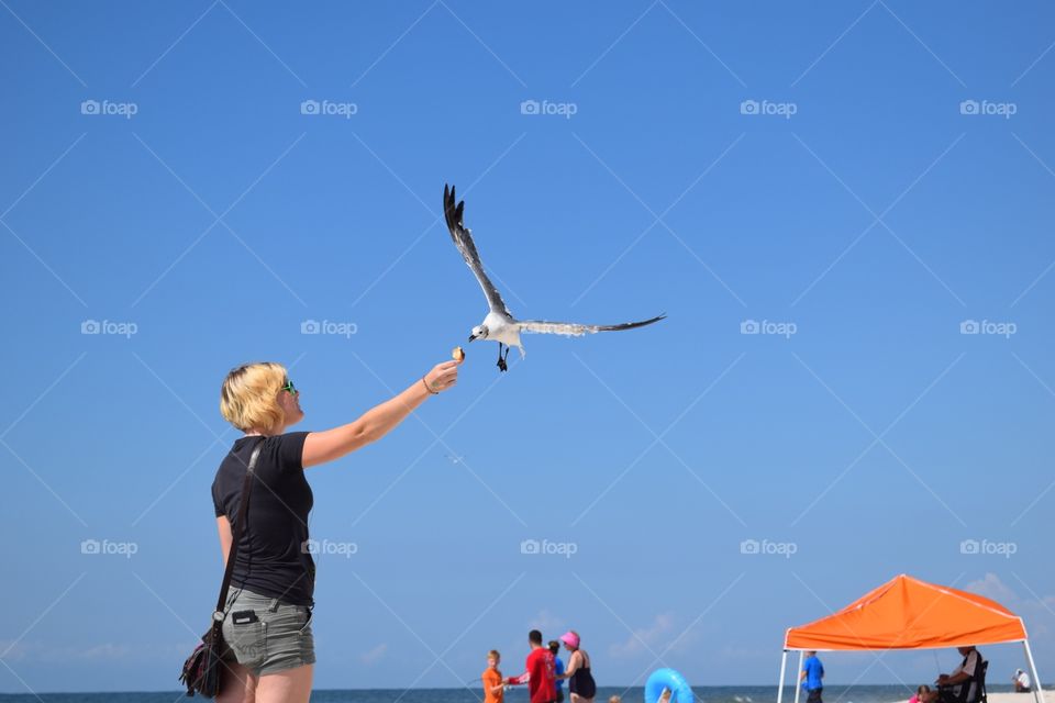 Feeding the birds. Woman feeding a seagull from her hand