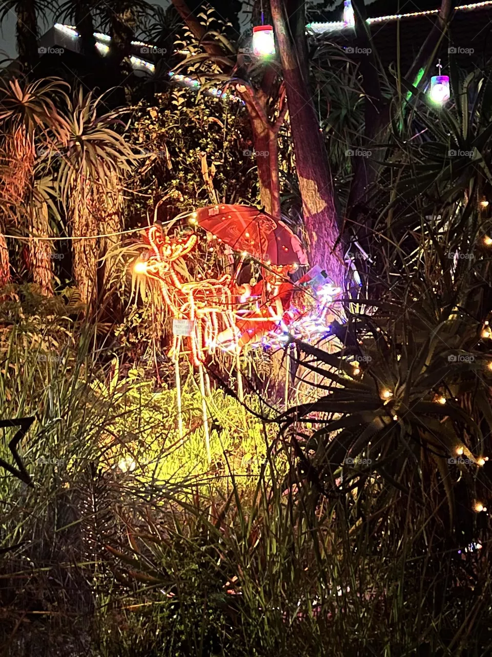 Xmas lights 