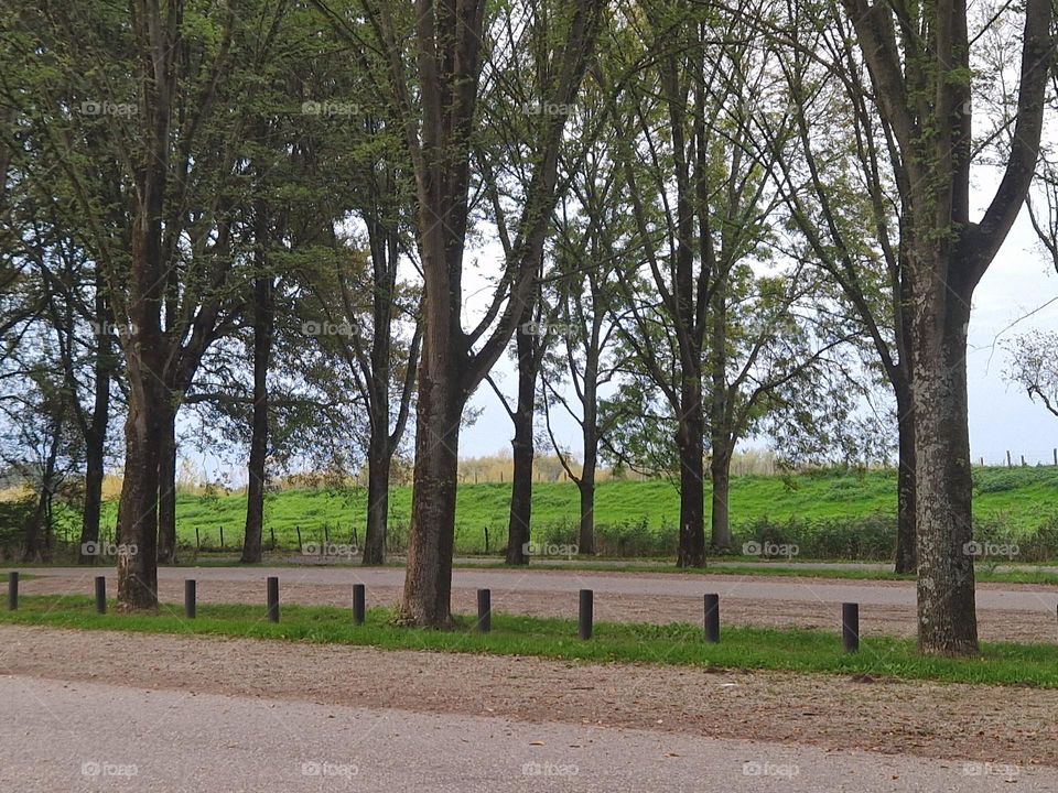 recreation area for walking and sports