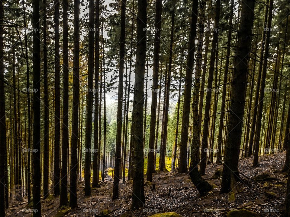 Since you love Autumn