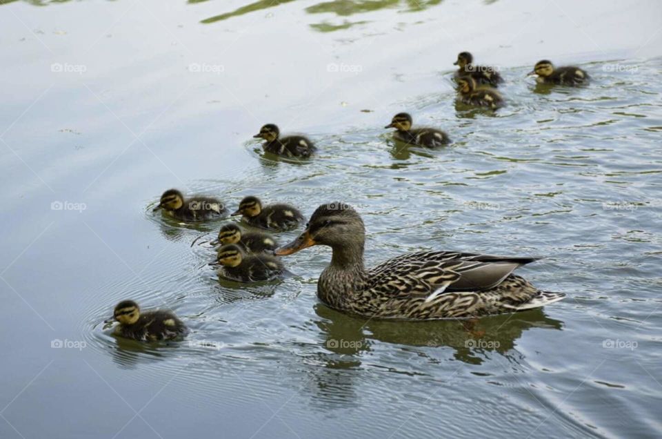 mom with kids😍