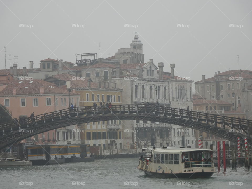 btidgee in Venice