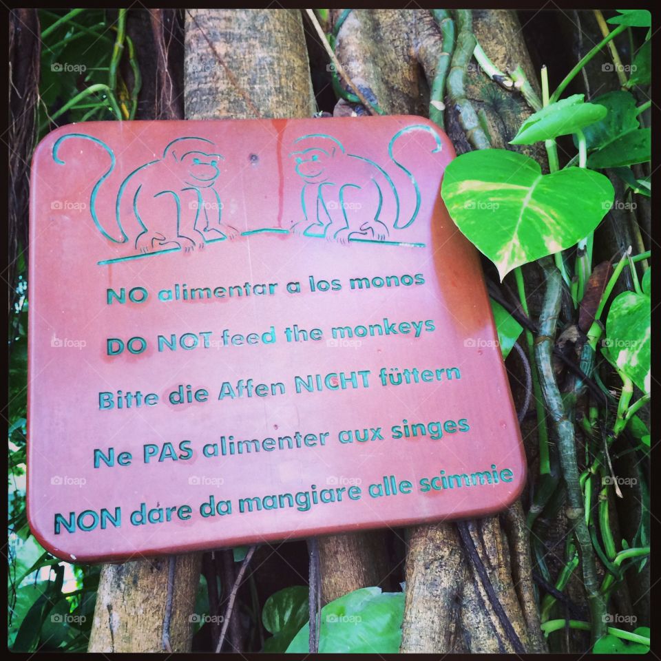 do not feed the monkeys 