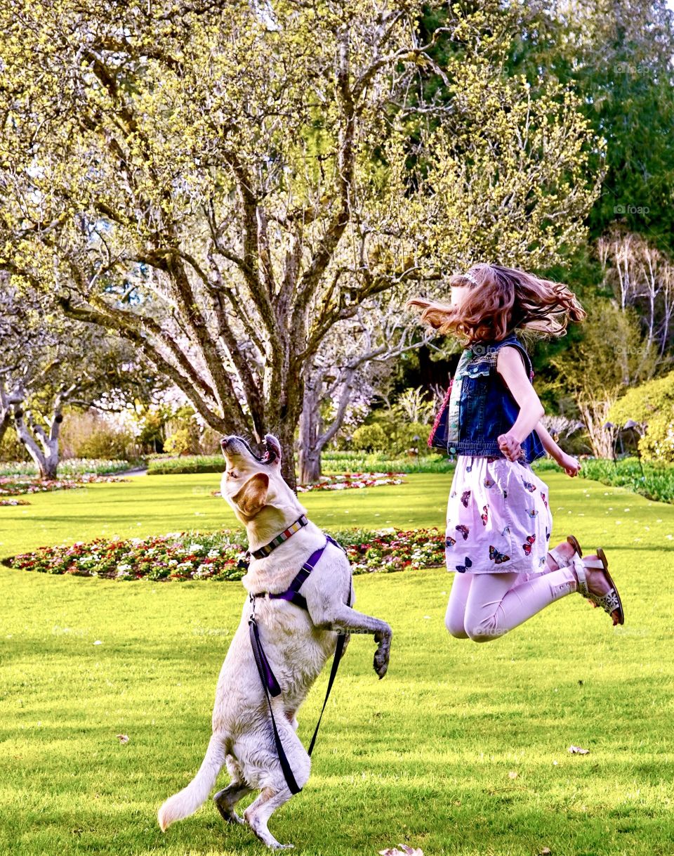 Springtime walk with dog and fun at the park