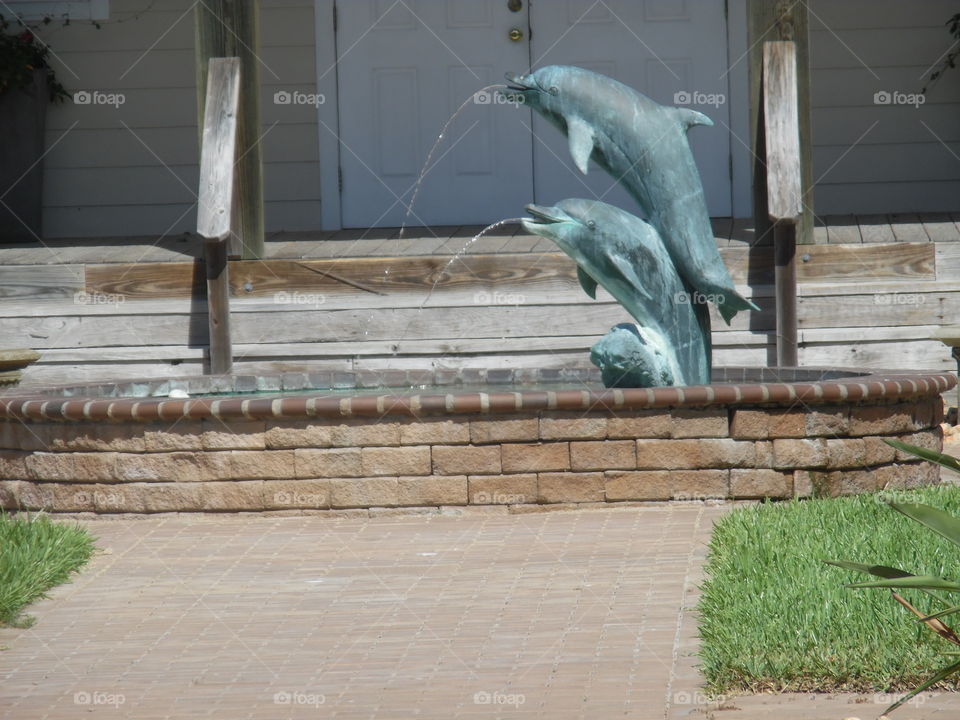 dolphin 🐬 fountain ⛲. This is a vacation photo 📷 that I took while visiting the Gulf of Mexico