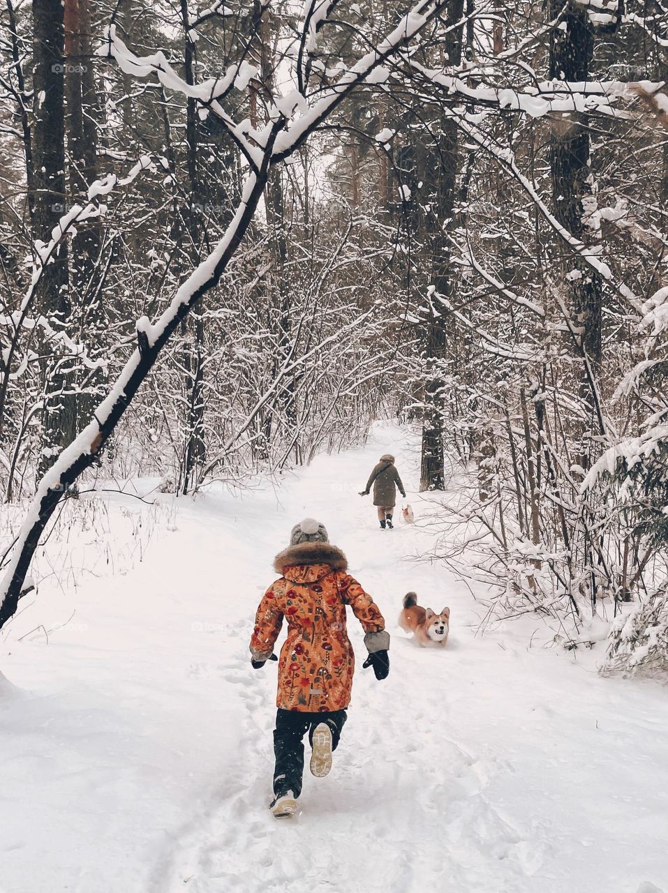 children playing in the forest with a dogs