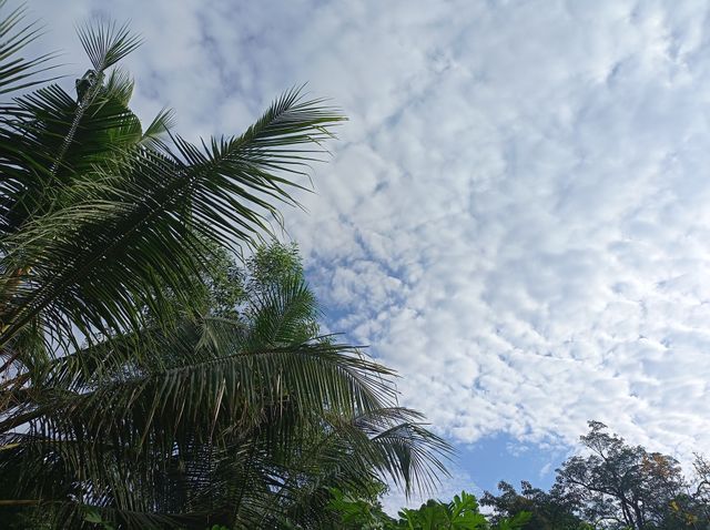 weather