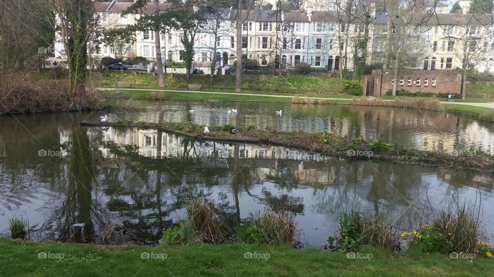 Water, Reflection, No Person, House, Architecture