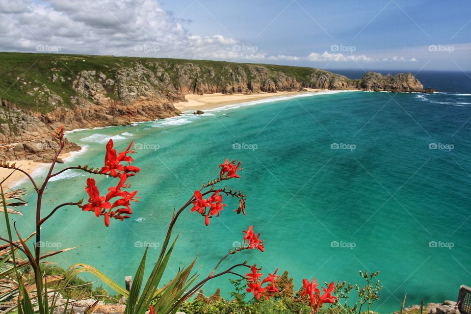 Porthcurno Beach in Cornwall on a summers day. Landscape image of a Cornish beach and emerald green ocean.