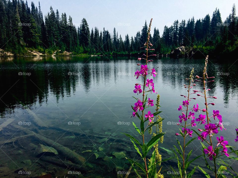 Hike to Margaret Lake, Washington 