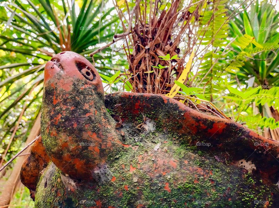 Ceramic turtle covered in moss and cobwebs, in the middle of many trees and several species of plants