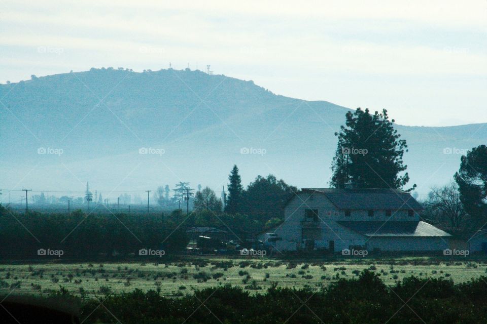 Morning farm