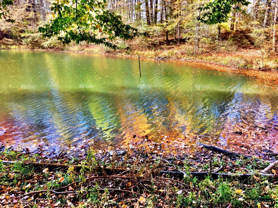 Painted lake in fall
