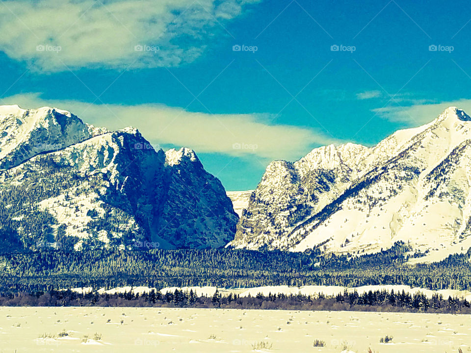 View of mountain with trees