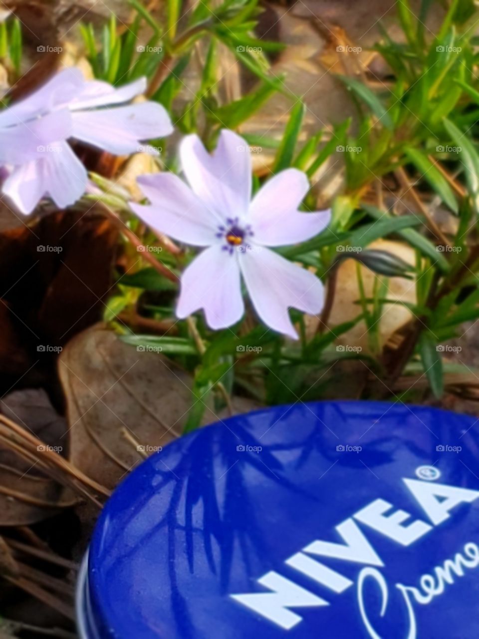 Spring and Nivea