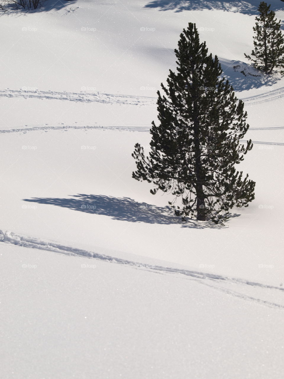 Ski slope during winter