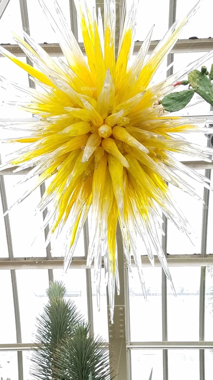 magnificent hanging yellow glass sculpture